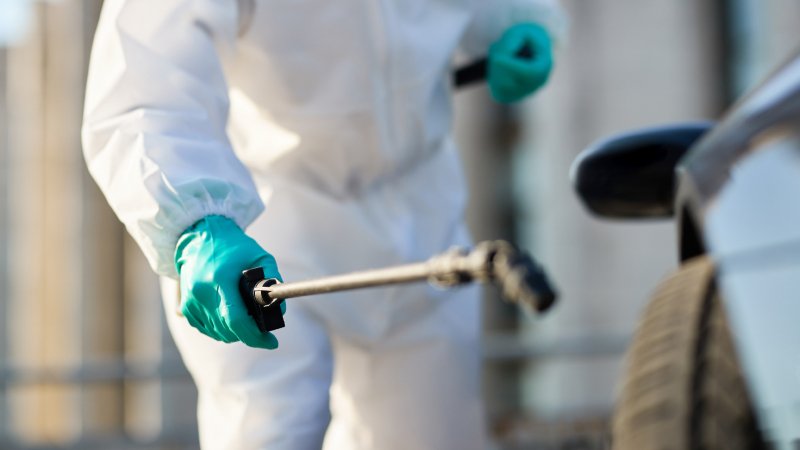 Steps for Pest Control