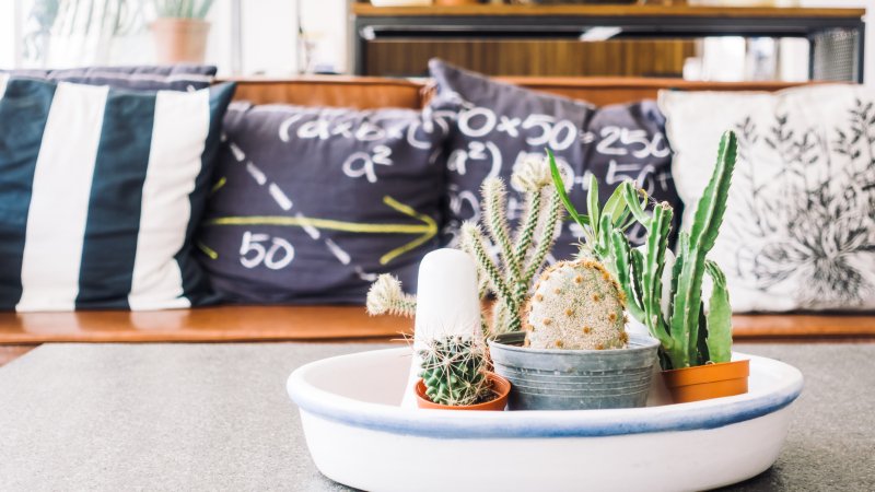 Home Styling Essentials