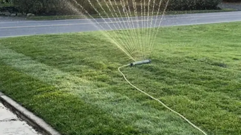 Orlando’s Complete Outdoor Solutions: Top Businesses Creating a Safer, Healthier Landscape Together